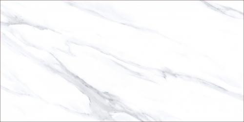 TZC126303-4