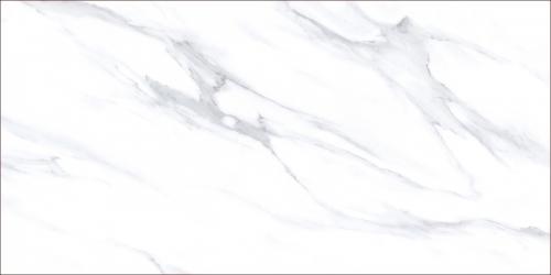 TZC126303-2