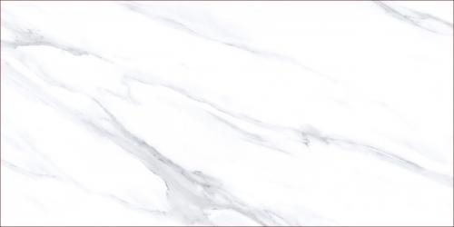TZC126303Y-4