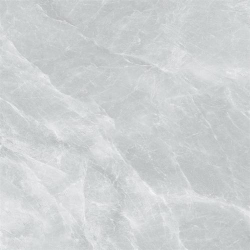 L1R81863