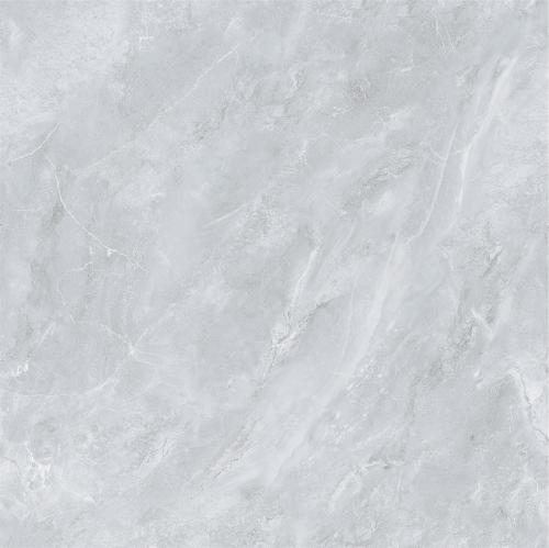 L1R81869