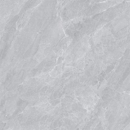 Y1R81865-2