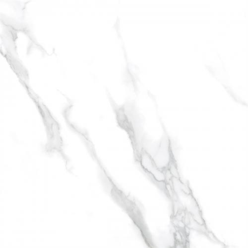 Y2C80152