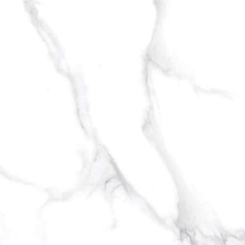 Y1C80152-2