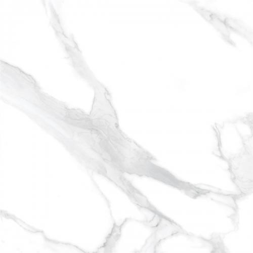 Y1C80152-5
