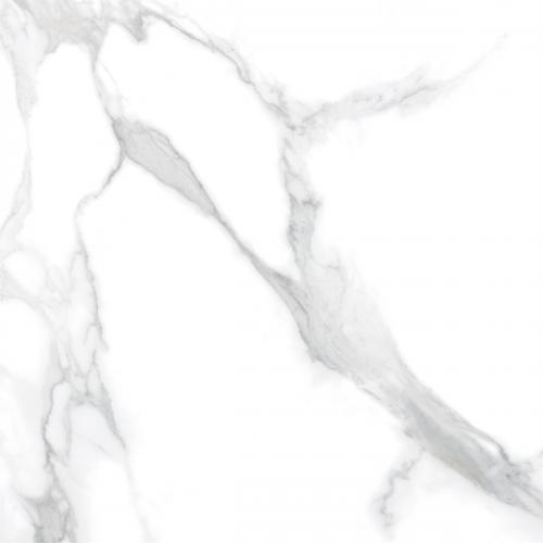Y1C80152-6