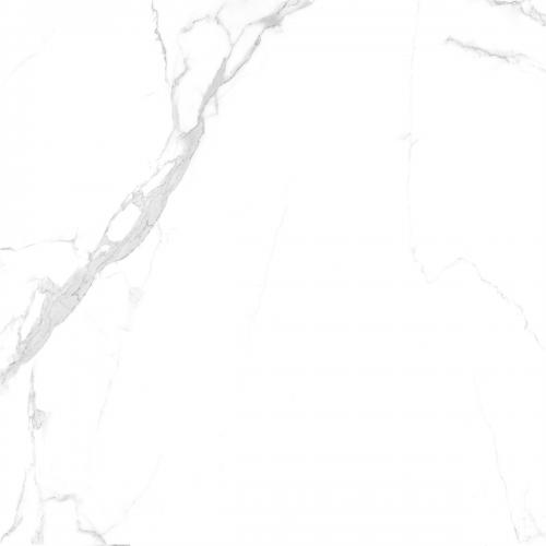 Y2F66775