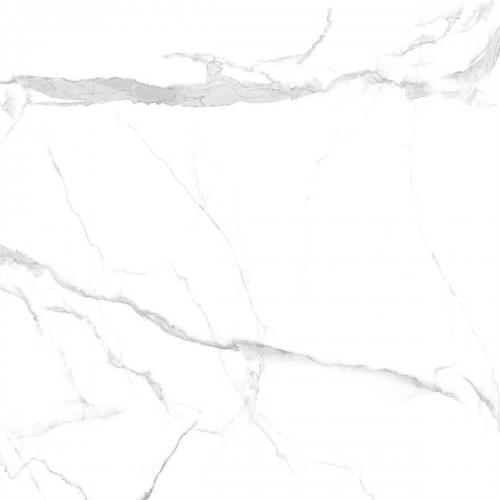 Y2F66766-3