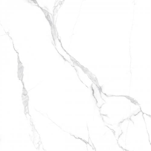 Y2F66766-5