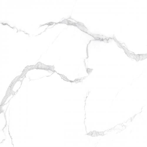 Y2F66766-4