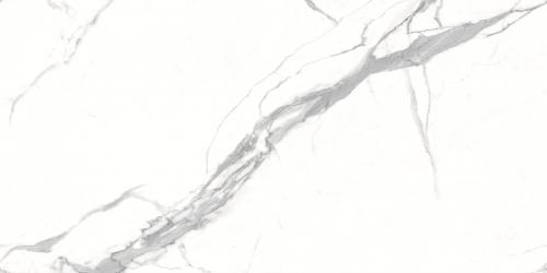 YA2412021