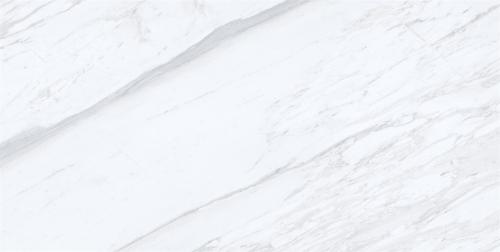 Y1R612026