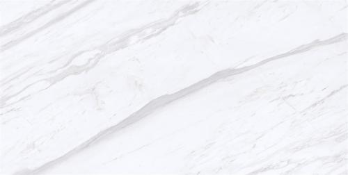 Y1R612026-2
