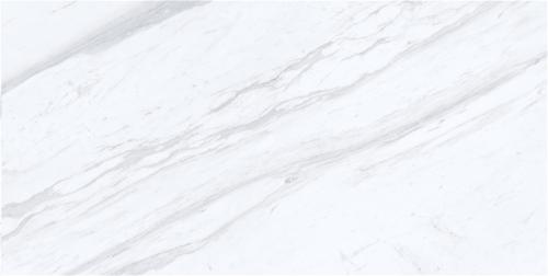 Y1R612026-4