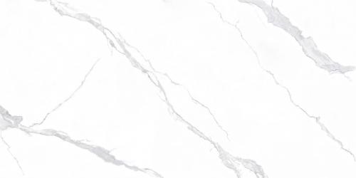 L1B751531