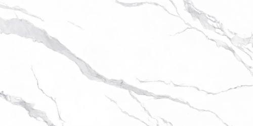 L1B751531-2
