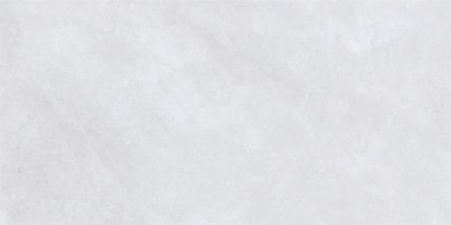 L1FV71562
