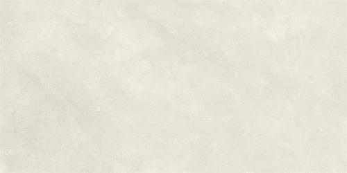 L1FV71561