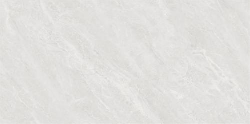 Y1L612729