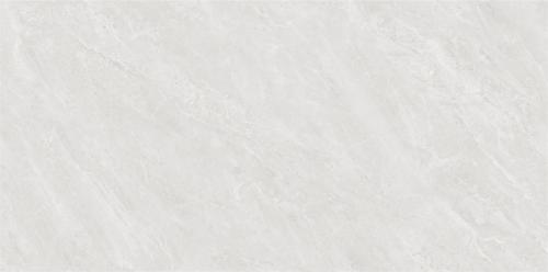 Y1L612729-2