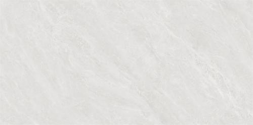 Y1L612729-5