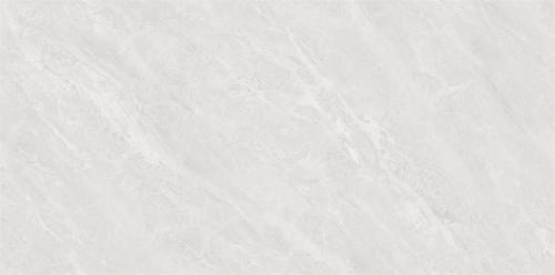 Y1L612729-6