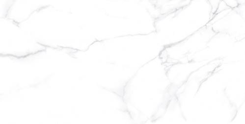 Y1L612717