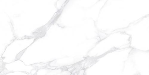 Y1L612717-2