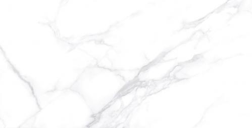 Y1L612717-4