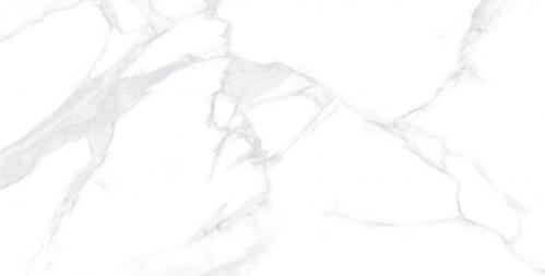 Y1L612717-5