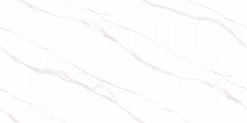 Y1L612701