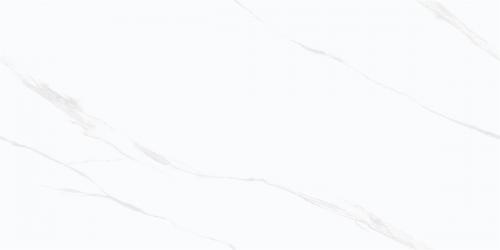 Y1L612701_02