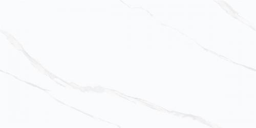 Y1L612701_04