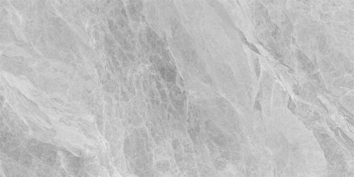 Y1L612721-2