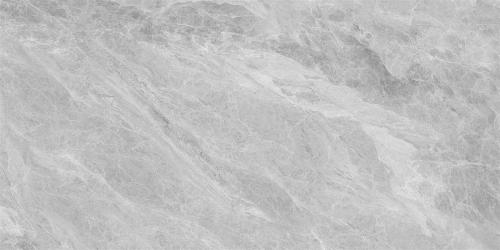 Y1L612721-5