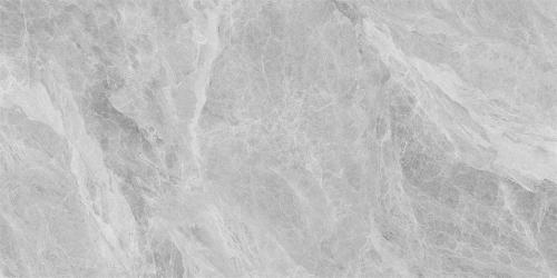 Y1L612721-6