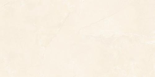 Y1R48007-4