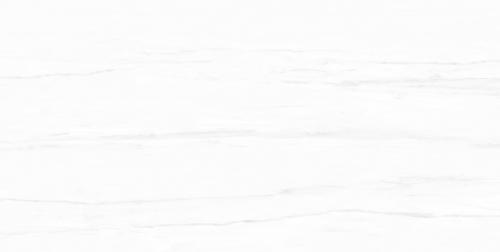 Y1R48006-2