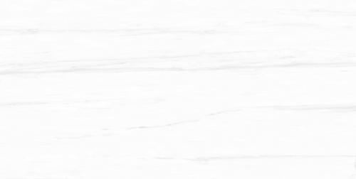 Y1R48006-4