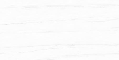 Y1R48006-5