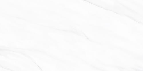 Y1R48001-1