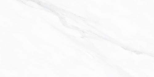 Y1R48001-3