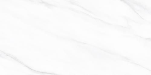 Y1R48001-4