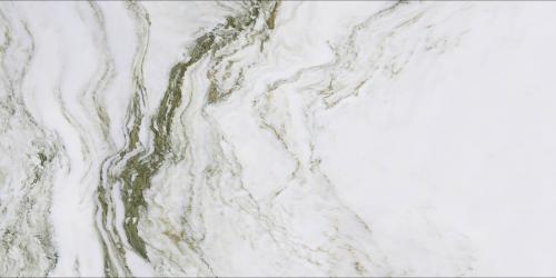 124D-116_02