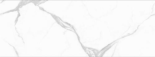271A13_02