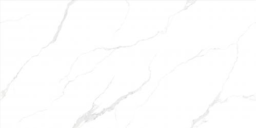 L1Q918101
